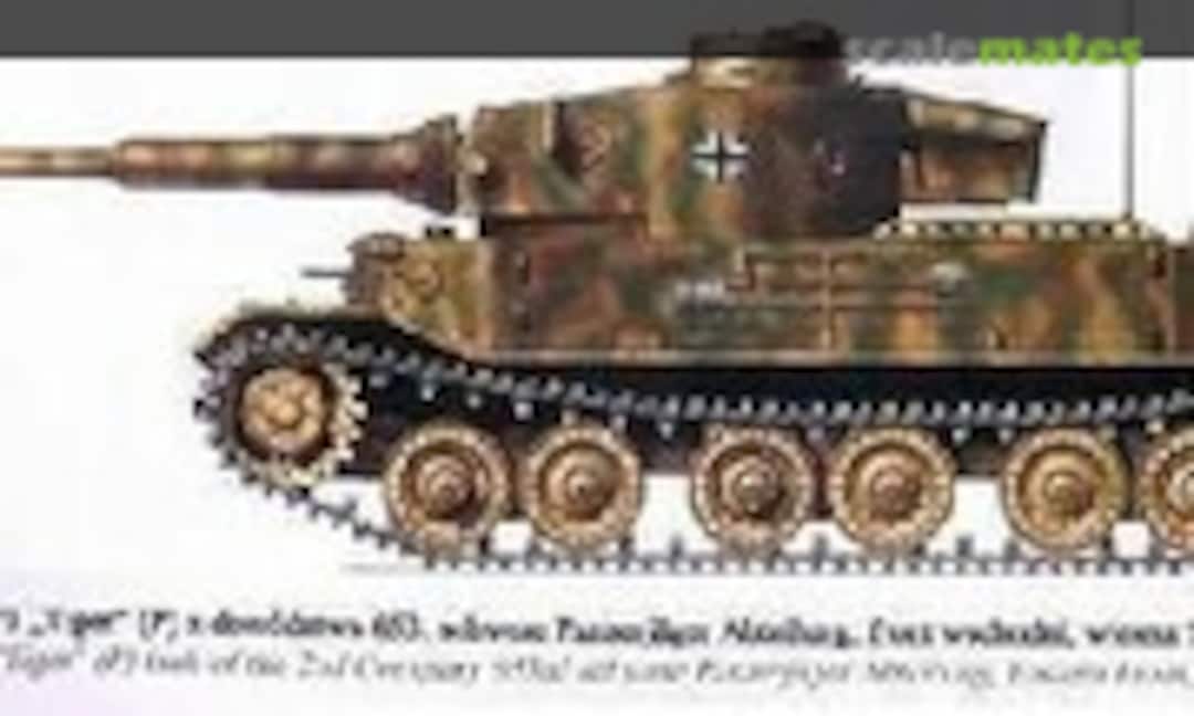 Tiger Ferdinand (CMK HOV039)