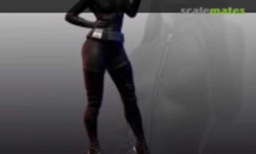 1:16 catwoman Anne Hataway (Unknown )