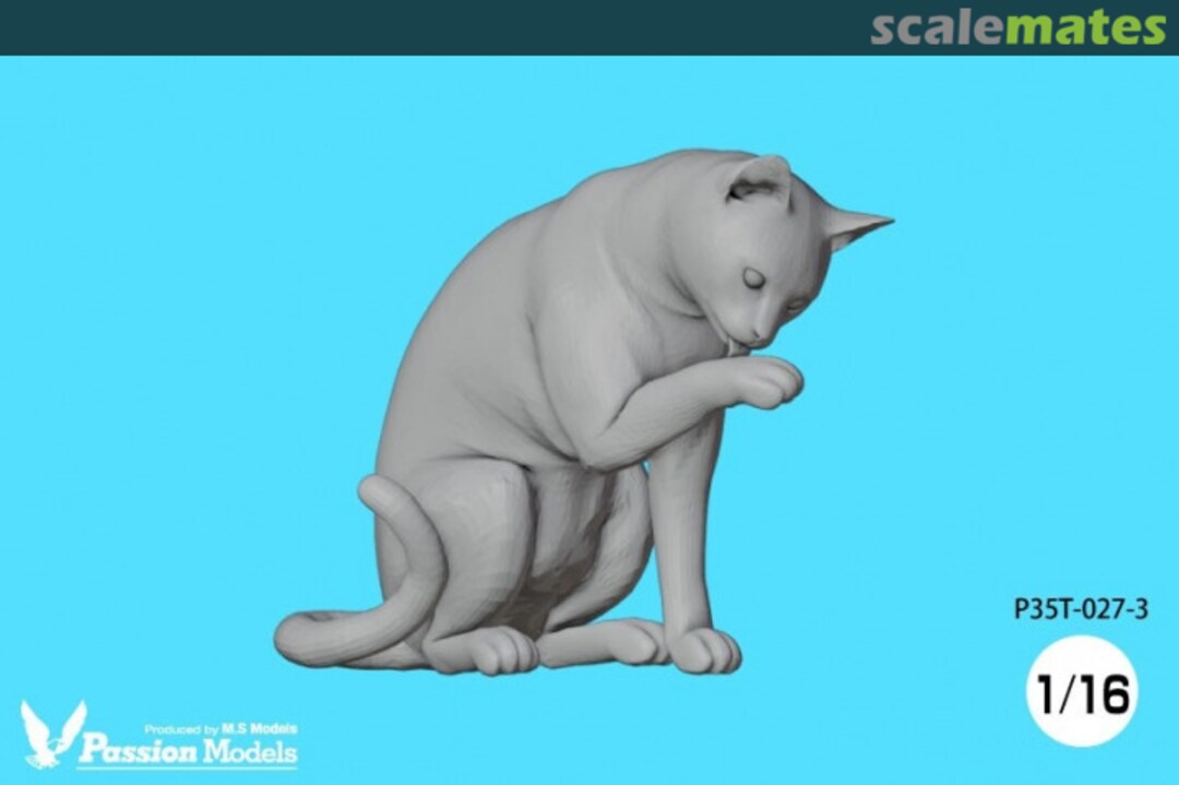 Boxart Cat 3 P35T-027-3 Passion Models Boxart Cat 3 P35T-027-3 Passion Models