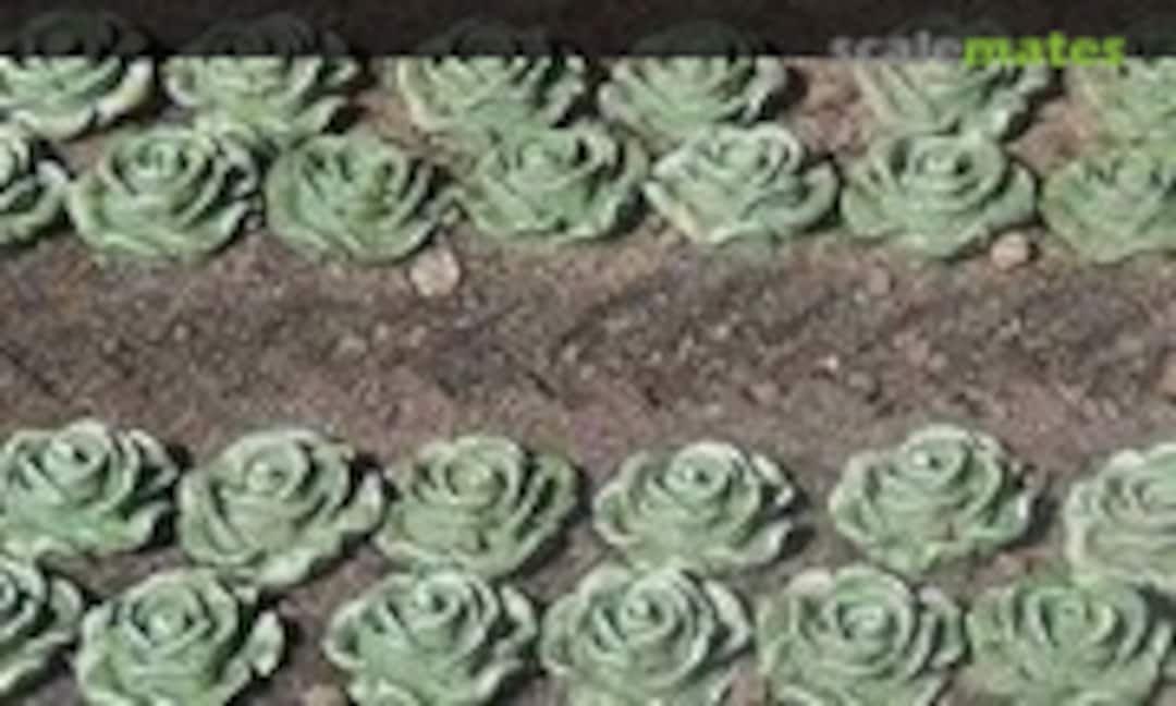 1:87 Lettuce (Juweela 28372) 28372