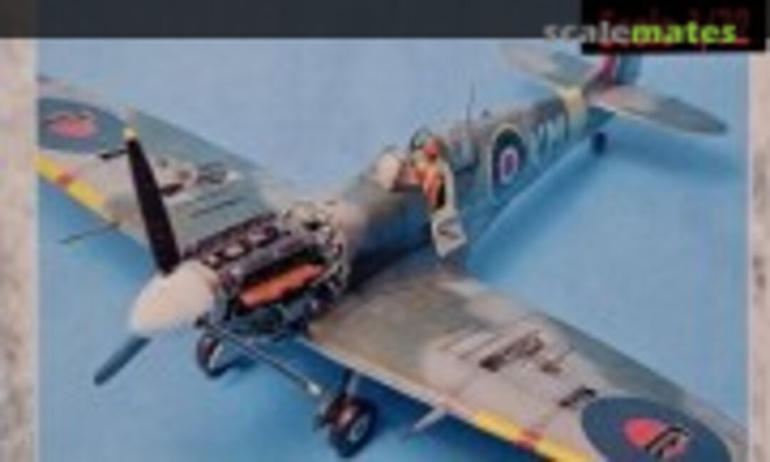 1:72 Spitfire Mk.Vb (Aires 7103)
