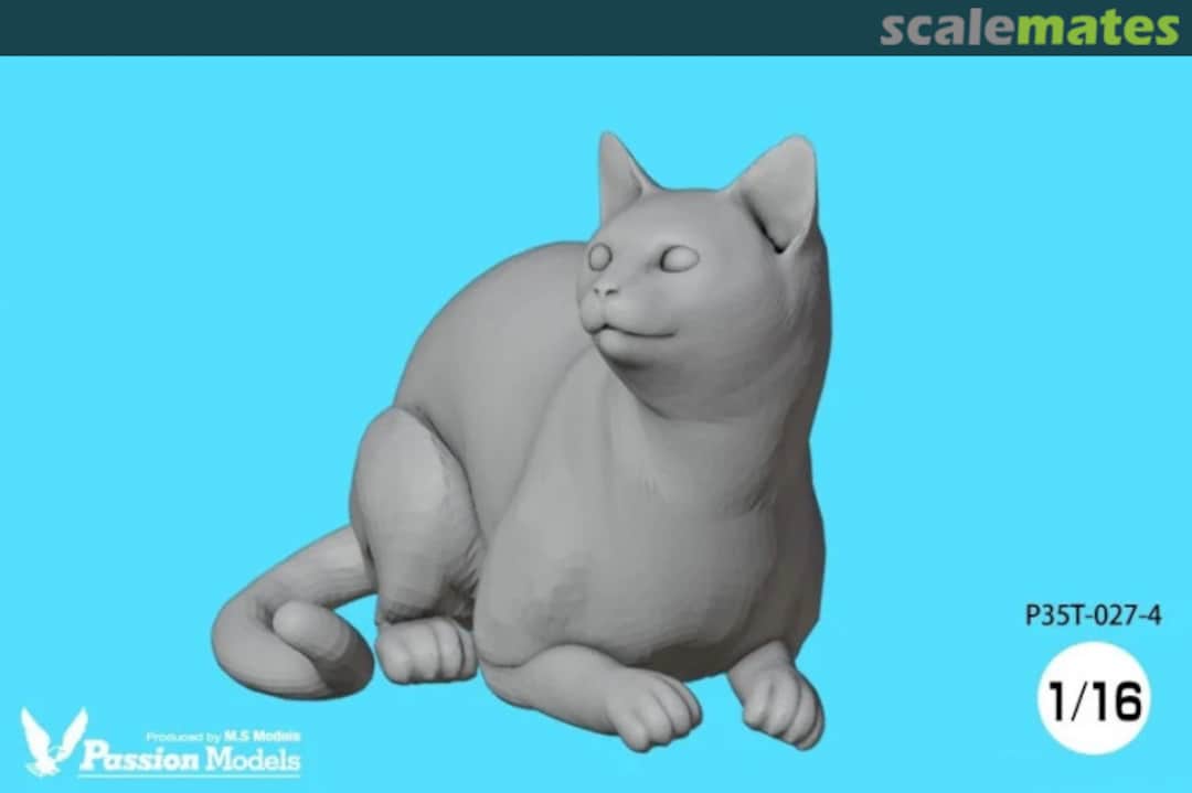 Boxart Cat 4 P35T-027-4 Passion Models Boxart Cat 4 P35T-027-4 Passion Models