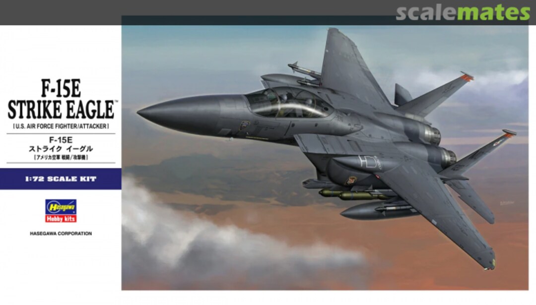 Boxart F-15E Strike Eagle 01569 Hasegawa