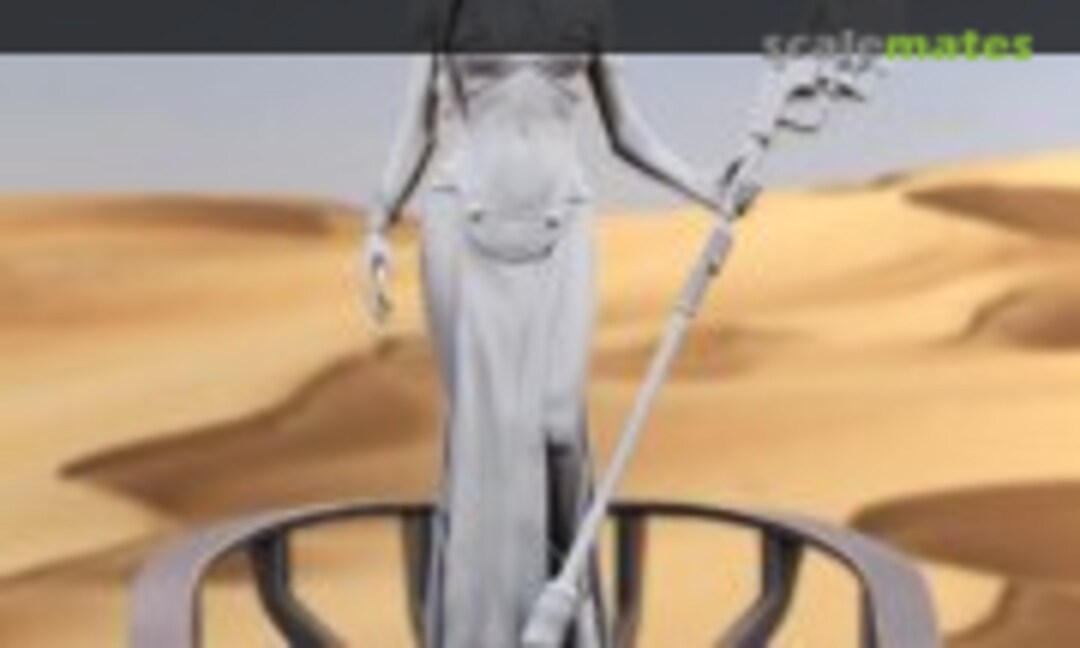 No Slave Princess Leia Figurine (Brad Shawn )