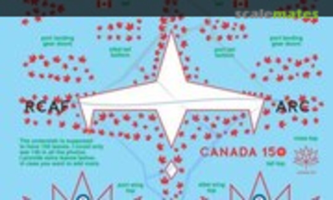 1:72 Canadair CT-114 Tutor - Snowbirds (Above & Below Graphics 1005) 1005