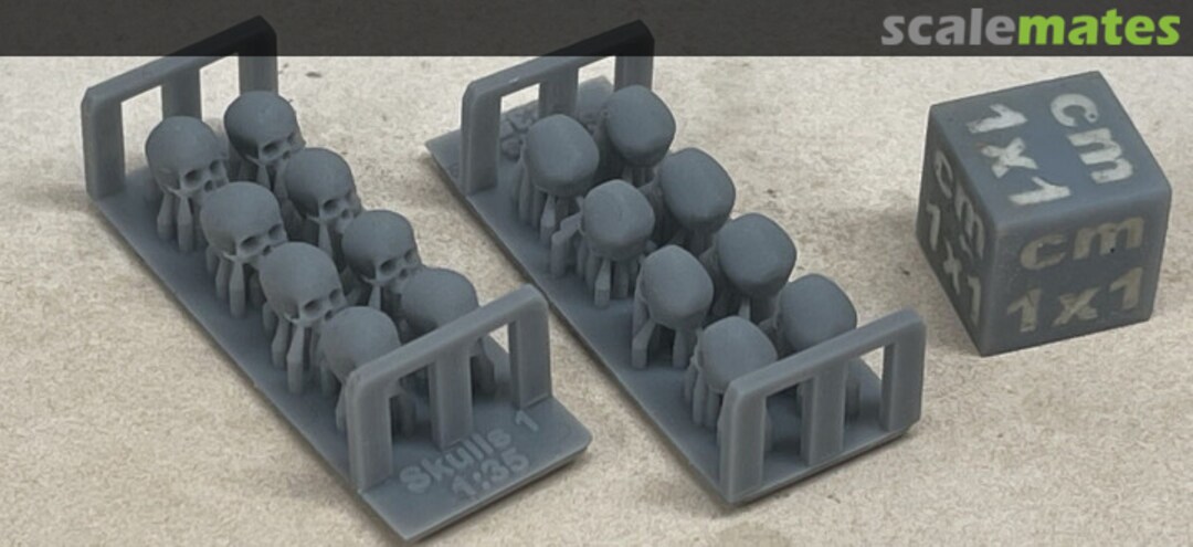 Boxart Human skulls - no jaw - 8 pieces 35990102 EMP3d Boxart Human skulls - no jaw - 8 pieces 35990102 EMP3d