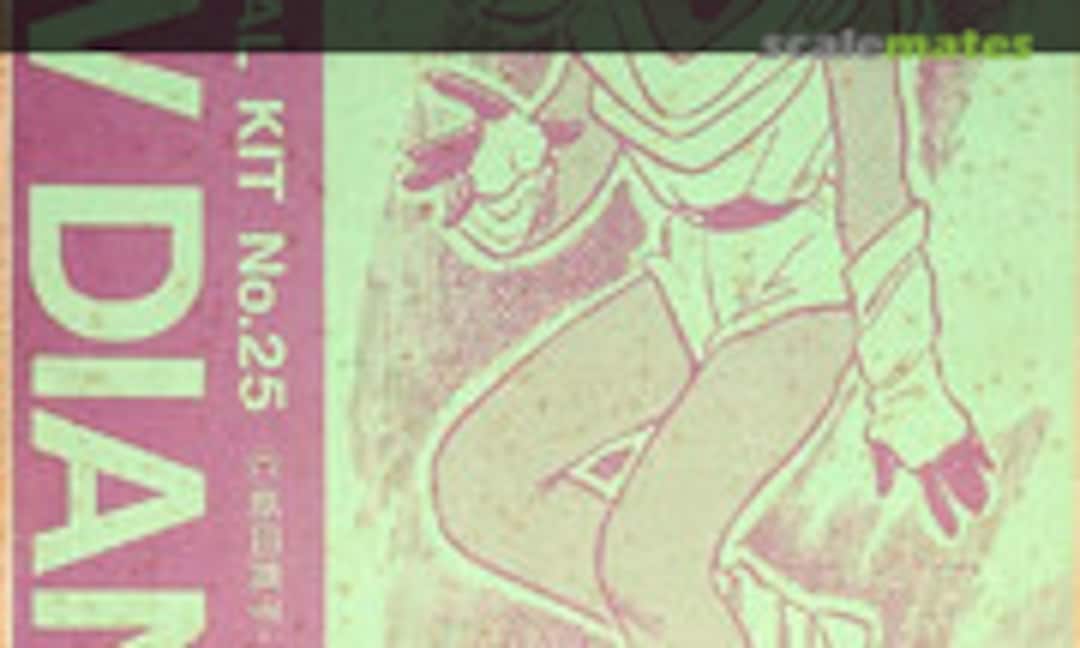 No VA=Ⅳ Diana (Fukaya 25) 25