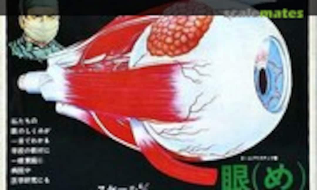 4:1 Human Eye (Bull Mark )