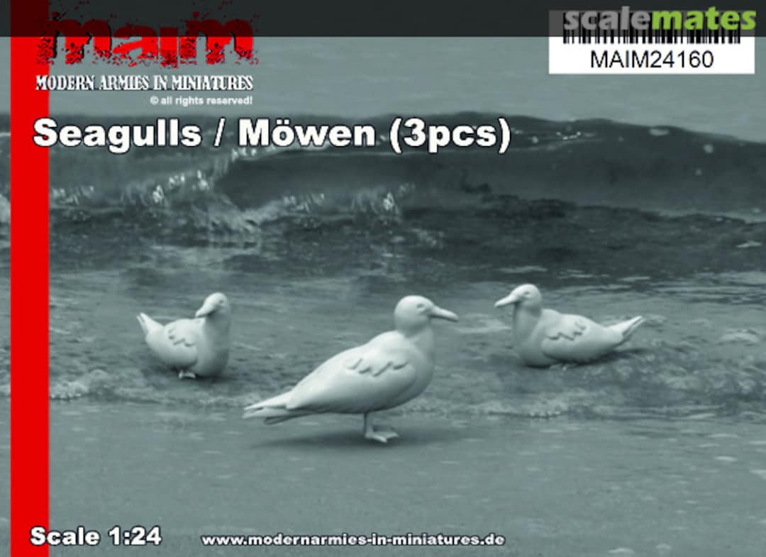 Boxart Seagulls - Möwen MAIM24160 MAiM
