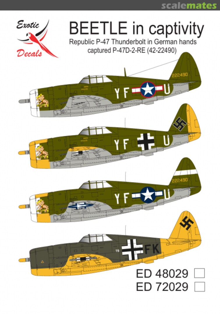 Boxart BEETLE in captivity - Republic P-47 Thunderbolt in German hands. ED48029 Exotic Decals Boxart BEETLE in captivity - Republic P-47 Thunderbolt in German hands. ED48029 Exotic Decals