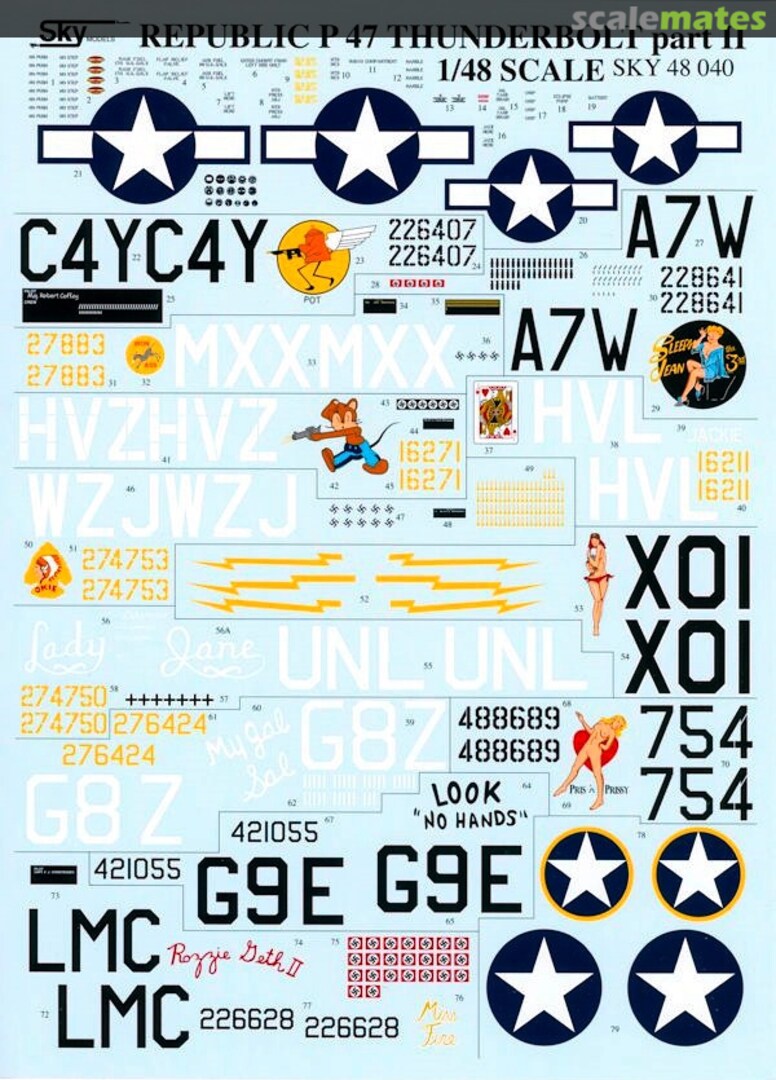 Boxart Republic P-47 Thunderbolt Part II 48-040 Sky Models
