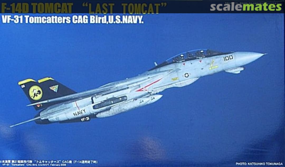 Boxart F-14D Tomcat "Last Tomcat" 72191 Fujimi Boxart F-14D Tomcat "Last Tomcat" 72191 Fujimi