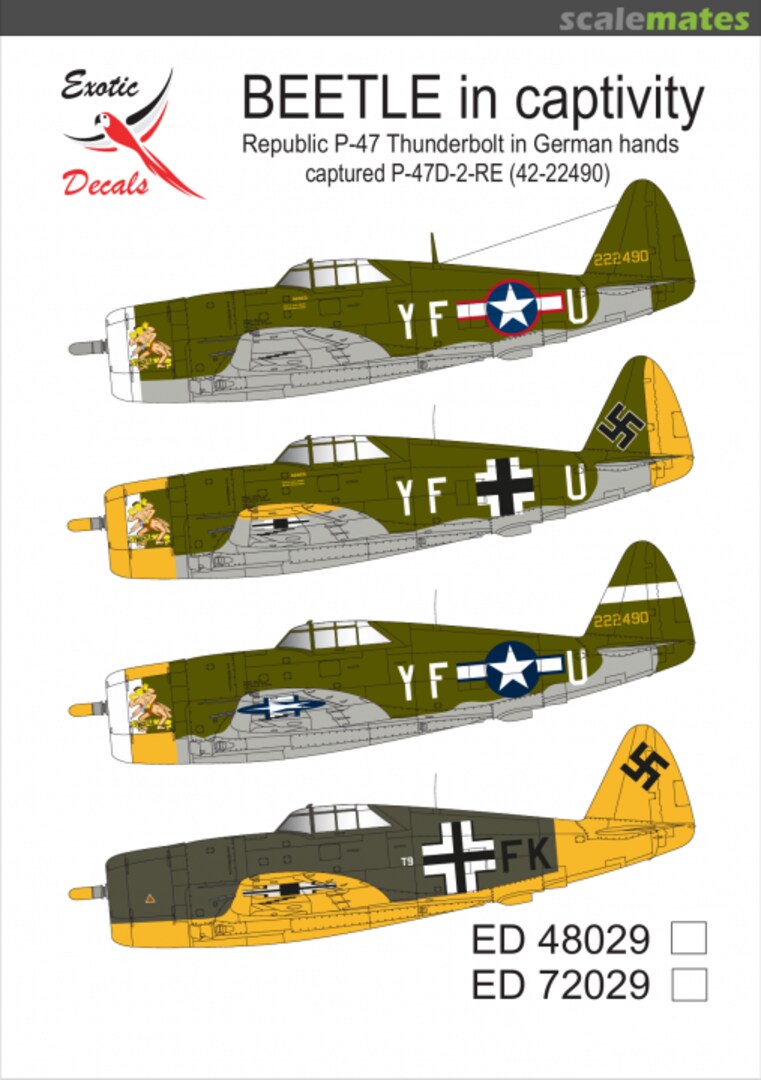 Boxart BEETLE in captivity - Republic P-47 Thunderbolt in German hands ED72029 Exotic Decals Boxart BEETLE in captivity - Republic P-47 Thunderbolt in German hands ED72029 Exotic Decals