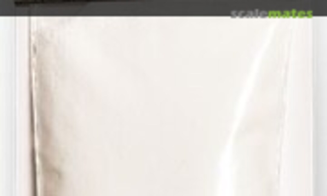 No Base Layer - Snow (Woodland Scenics G6424) G6424