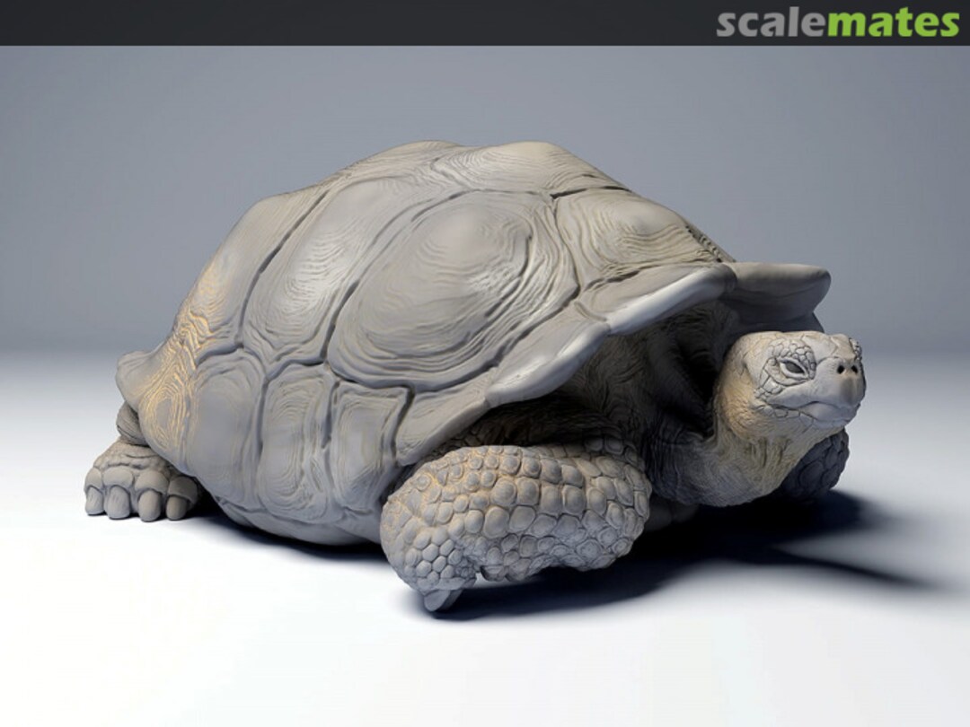 Boxart Giant Turtle - lying 35130274 EMP3d
