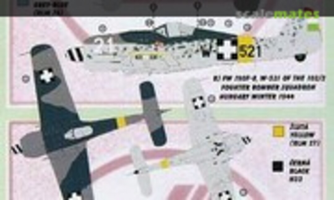 1:48 Focke-Wulf Fw 190F-8 (For EDU, DRG & HSG Kits) (Kora Models DEC4838) DEC4838