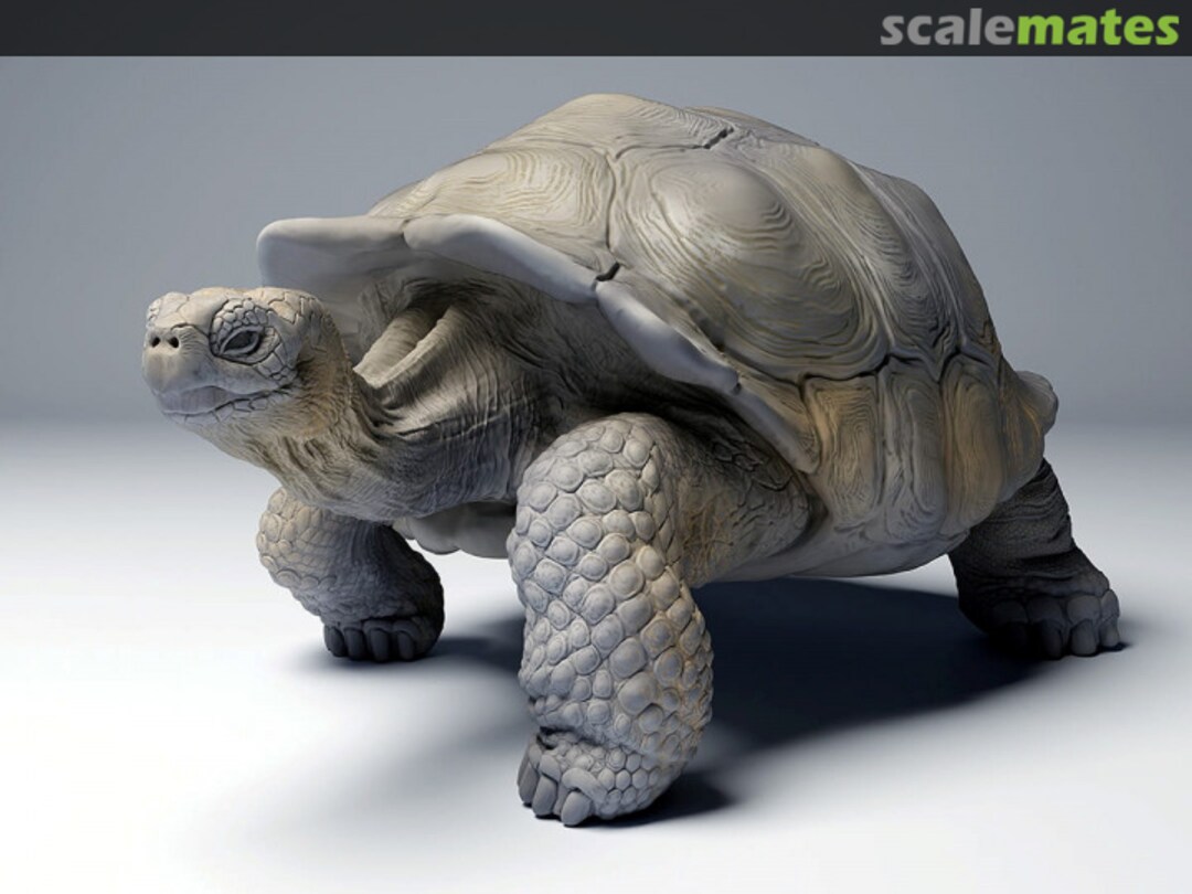 Boxart Giant Turtle - walking 35130275 EMP3d Boxart Giant Turtle - walking 35130275 EMP3d