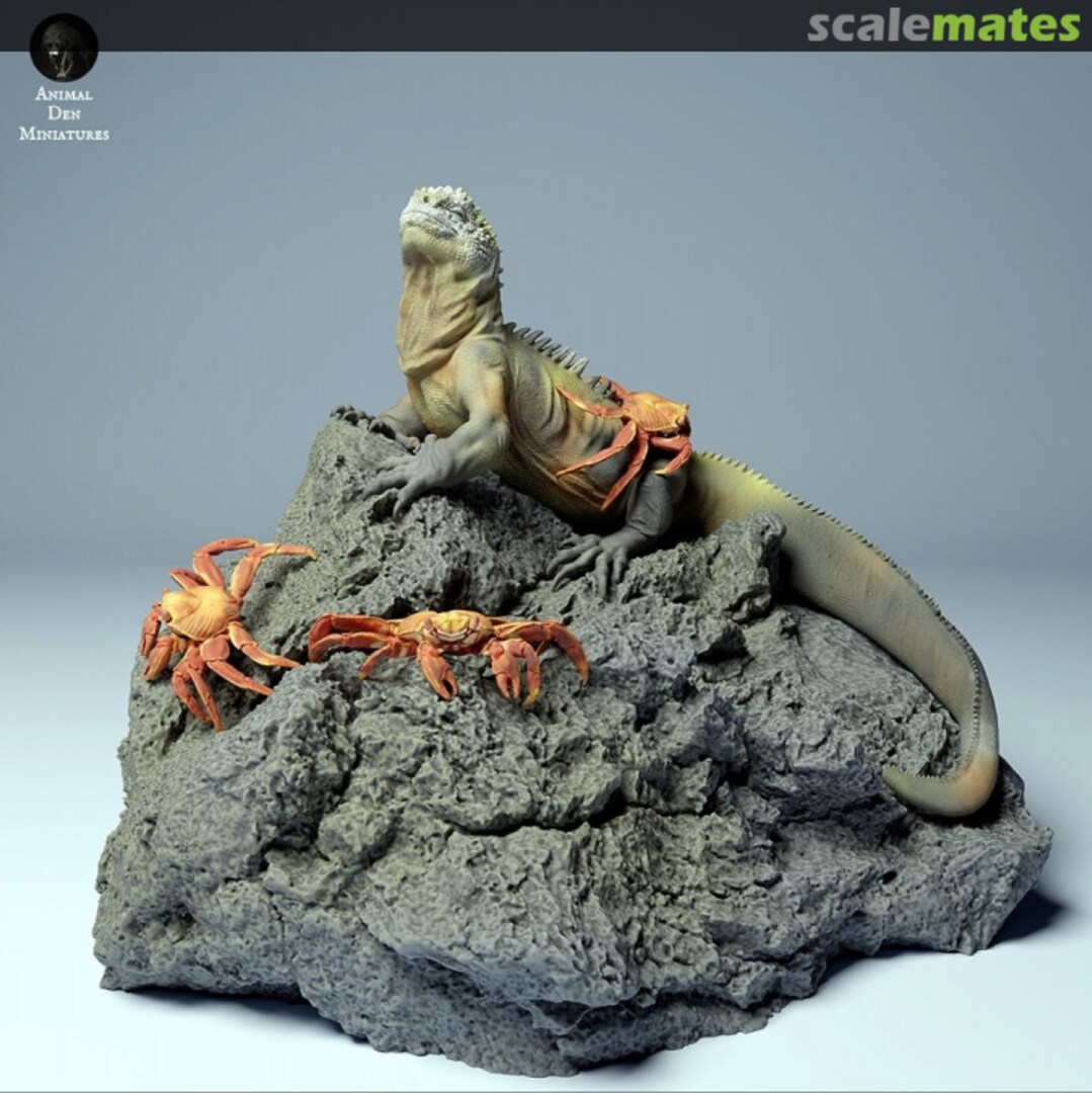 Boxart Marine Iguana and Crabs - 1 set 35130276 EMP3d
