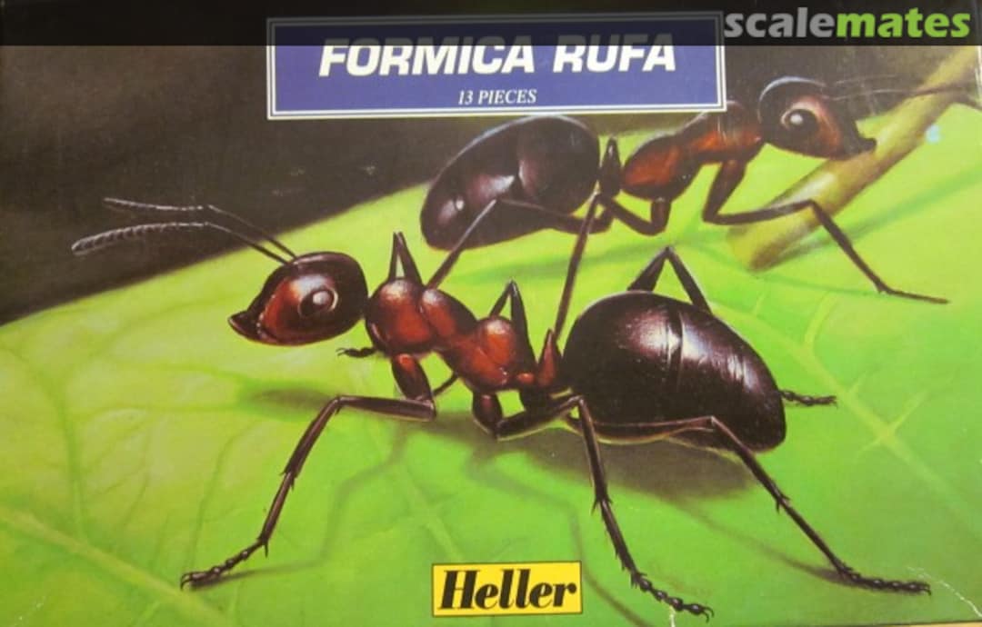 Boxart Formica Rufa 79400 Heller Boxart Formica Rufa 79400 Heller
