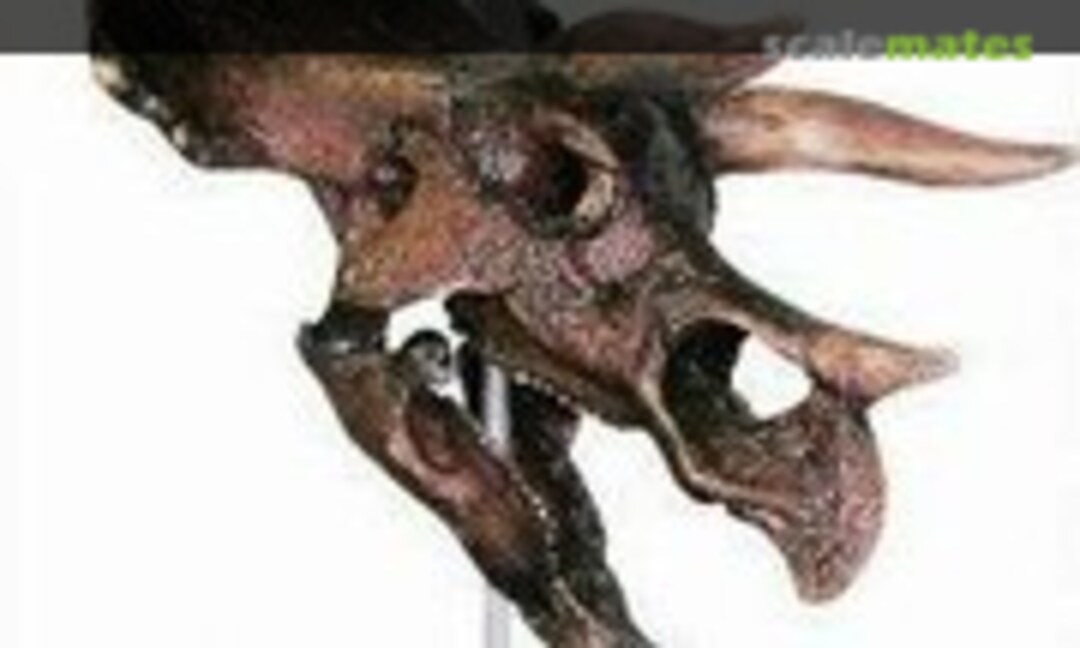 Triceratops Prorsus (Italeri Rex02)