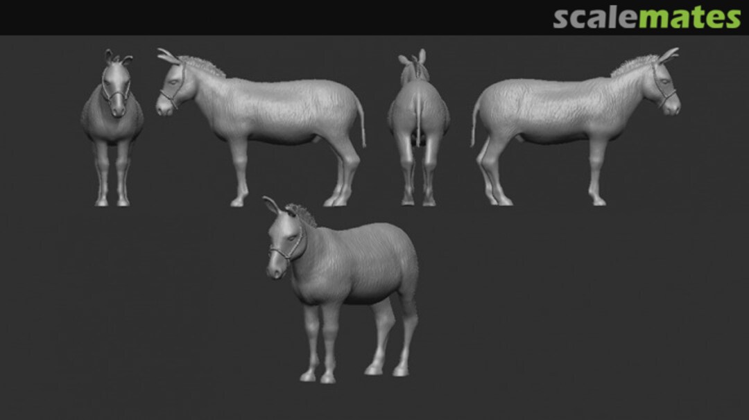 Boxart Donkey Z007-72 Firma49