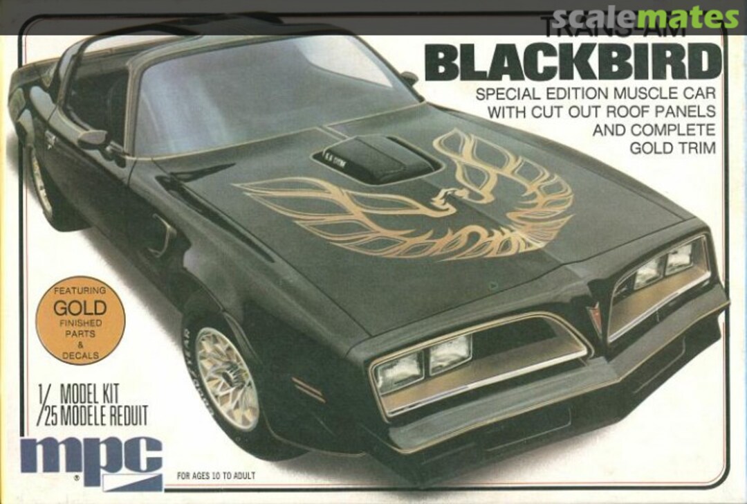 Boxart Trans-Am Blackbird 1-0777 MPC Boxart Trans-Am Blackbird 1-0777 MPC