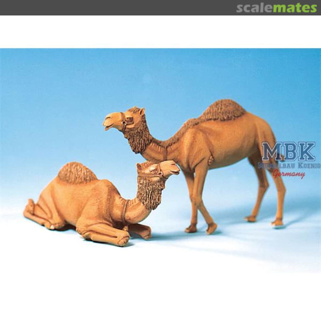 Boxart Camel Set MM072 SOL Boxart Camel Set MM072 SOL