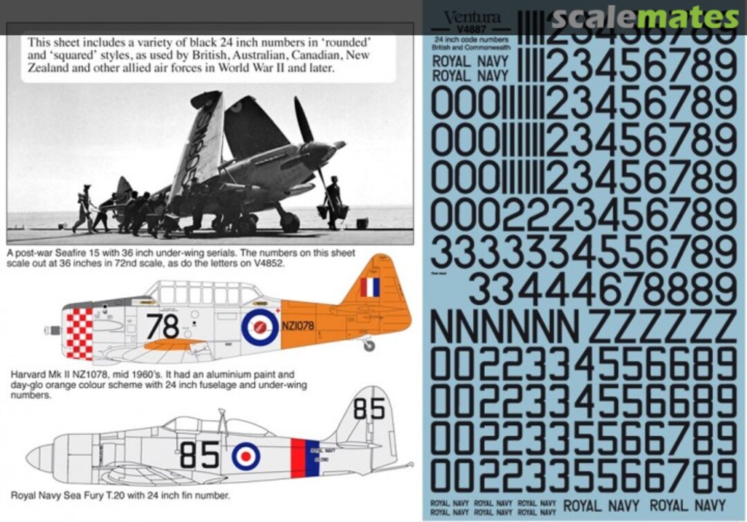 Boxart 24" code numbers - Black "rounded" and "squared" V4887 Ventura