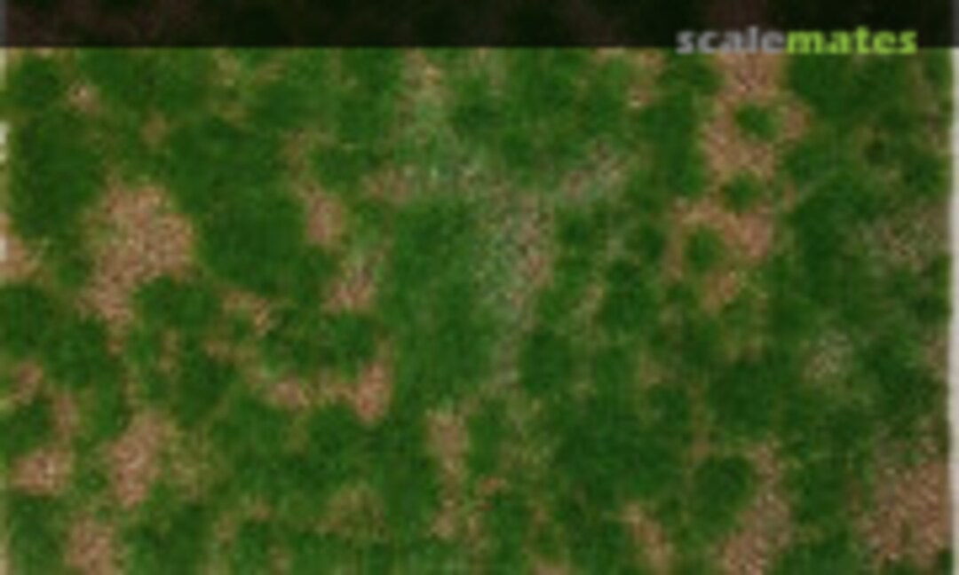 No Steppe green (early summer) (Model Scene F532) F532