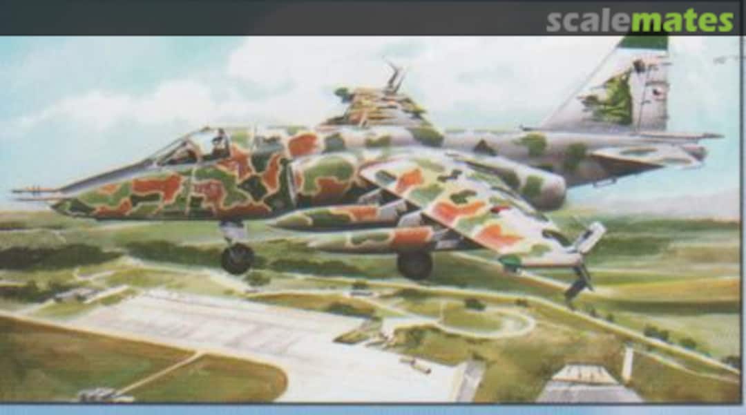 Boxart Sukhoi Su-25K Czech Bull Frog 43052 Kopro (AIRmolds) Boxart Sukhoi Su-25K Czech Bull Frog 43052 Kopro (AIRmolds)