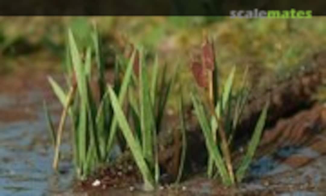 No Reedmace (Model Scene VGN-008) VGN-008