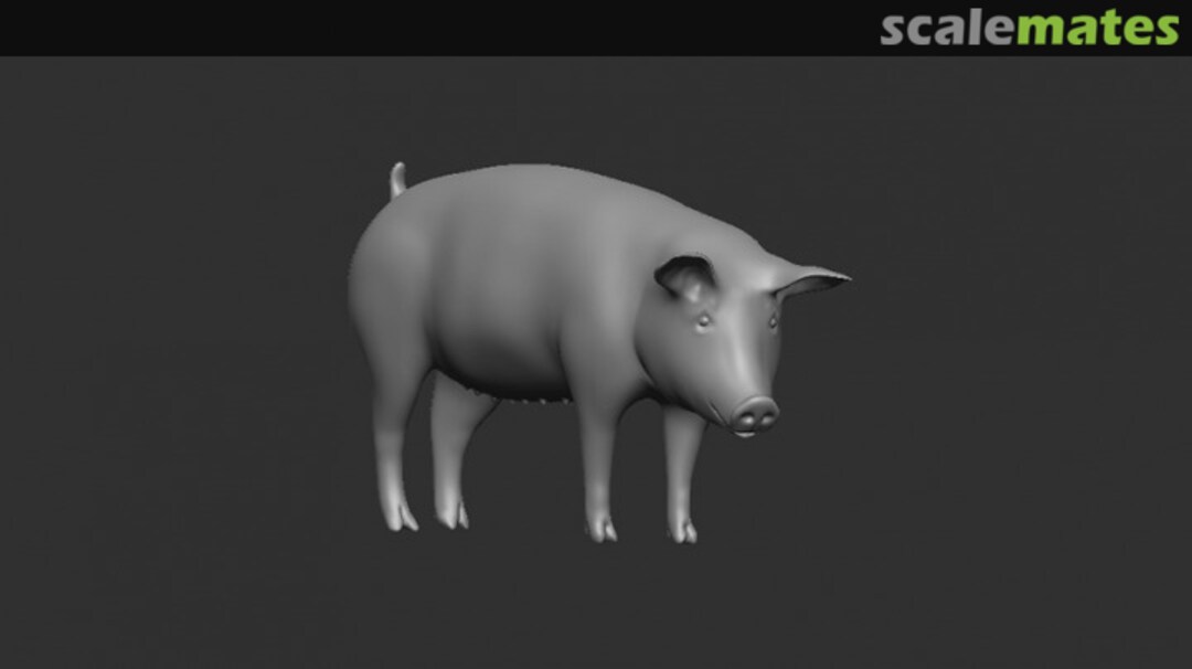 Boxart Pig Z011-72 Firma49 Boxart Pig Z011-72 Firma49