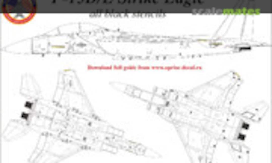 1:72 F-15E Strike Eagle stencils black version (FFA-removable film) (UpRise Decal UR72213) UR72213