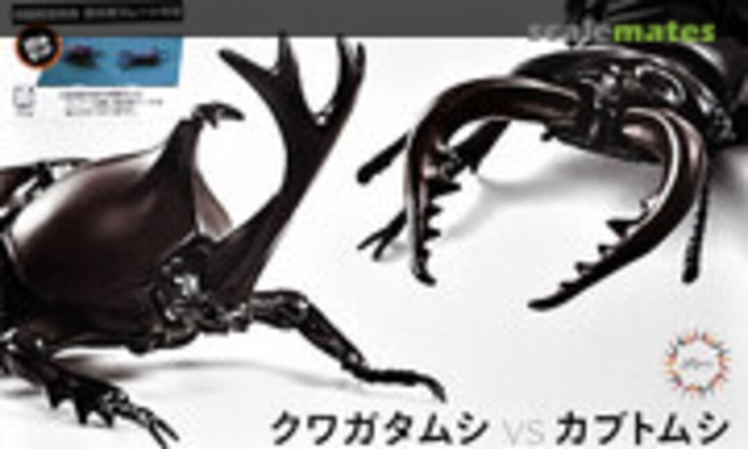 No Stag Beetle vs. Beetle (Fujimi 17086)