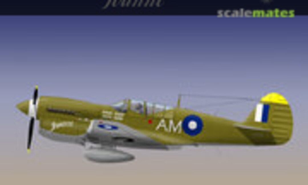 1:32 Royal Australian Air Force 77 Squadron P-40N "Joanne" (Ronin Decals RDS-198) RDS-198
