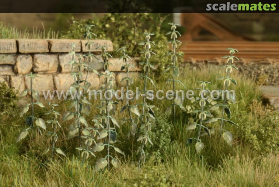 Boxart Nettle VG4-227 Model Scene Boxart Nettle VG4-227 Model Scene