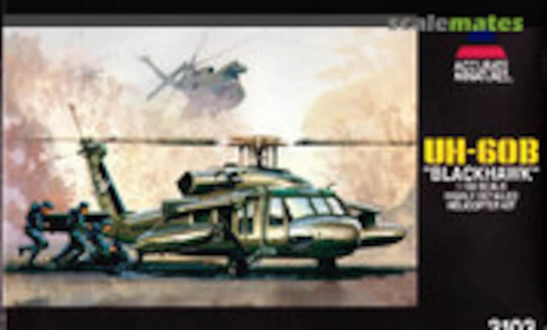 1:100 UH-60B Blackhawk (Accurate Miniatures 3103)