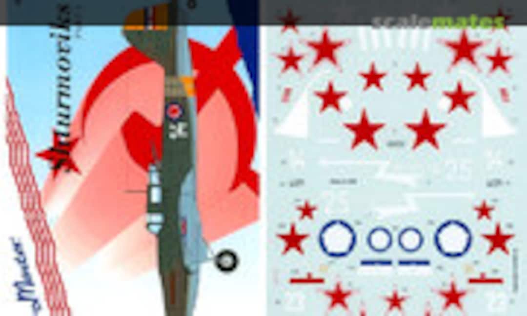 1:48 Shturmoviks (AeroMaster 48-349)