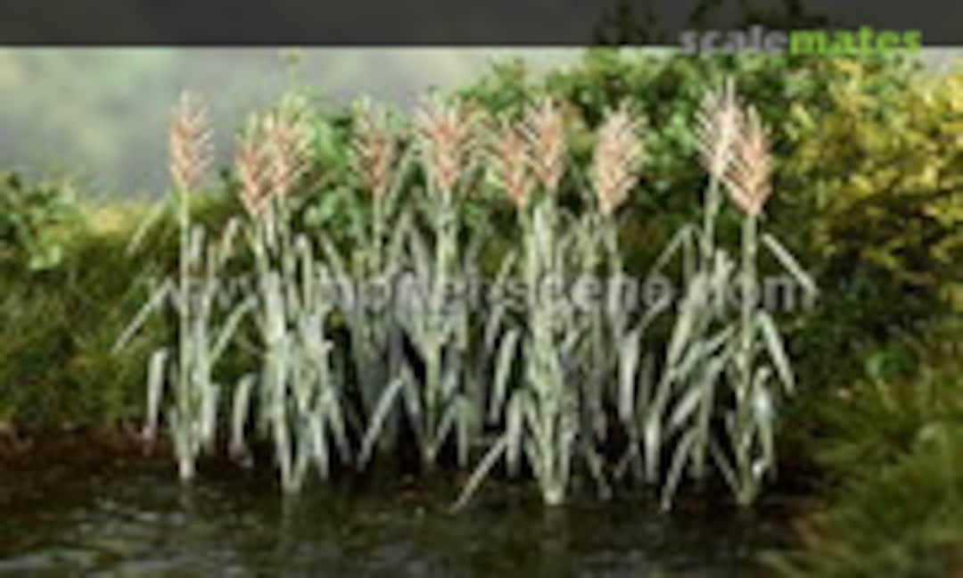 No Reeds (Model Scene VG4-125) VG4-125