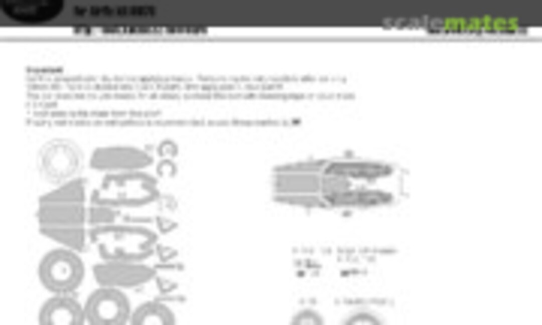 1:48 E.E. Lightning F2A, F6 BASIC kabuki masks (New Ware NWAM0294) NWAM0294