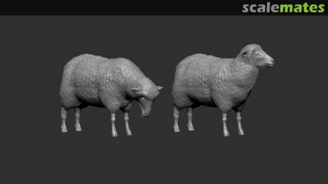 Boxart Sheep Z014-48 Firma49 Boxart Sheep Z014-48 Firma49