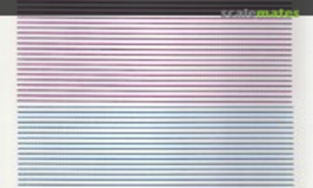 1:48 German Rib Tape 1917-18 (Americal/Gryphon 22) 22