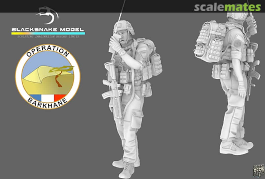 Boxart Figurine 01 Operation Barkhane FR-01 BlackSnake Model Boxart Figurine 01 Operation Barkhane FR-01 BlackSnake Model