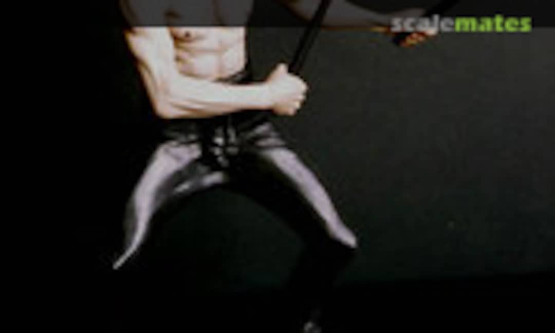 1:6 Bruce Lee (Vision Models )