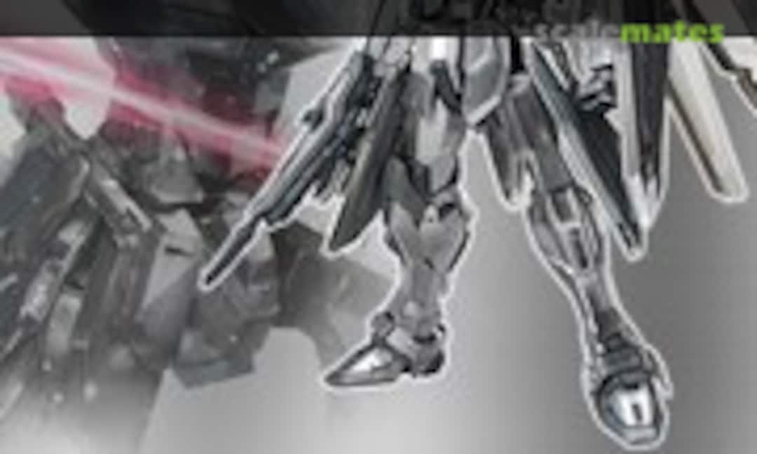 1:100 Freedom Gundam Ver. 2.0 [Silver Coating] (Bandai Spirits )