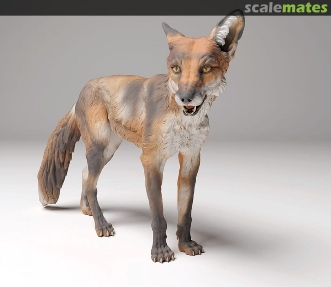 Boxart Red fox - standing 72130440 EMP3d Boxart Red fox - standing 72130440 EMP3d