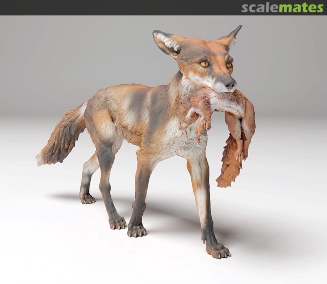 Boxart Red fox - carring squirrel 72130442 EMP3d Boxart Red fox - carring squirrel 72130442 EMP3d