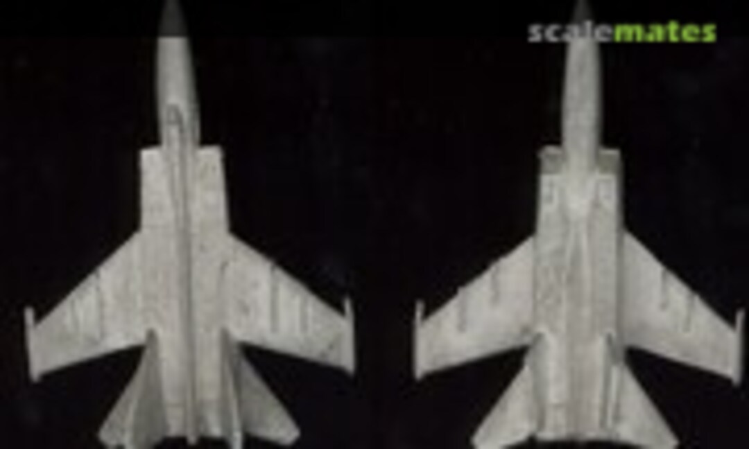 1:300 MiG-25 'Foxbat' (Heroics & Ros P905) P905