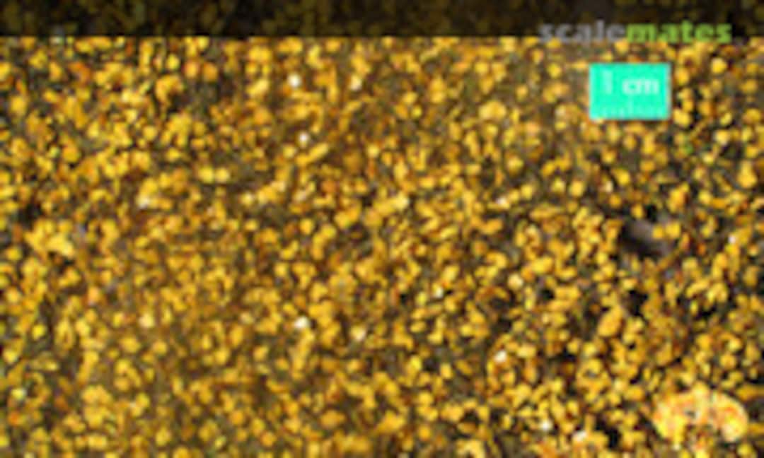 No Birch Leaves Late Autumn (Mininatur 910-34S) 910-34S