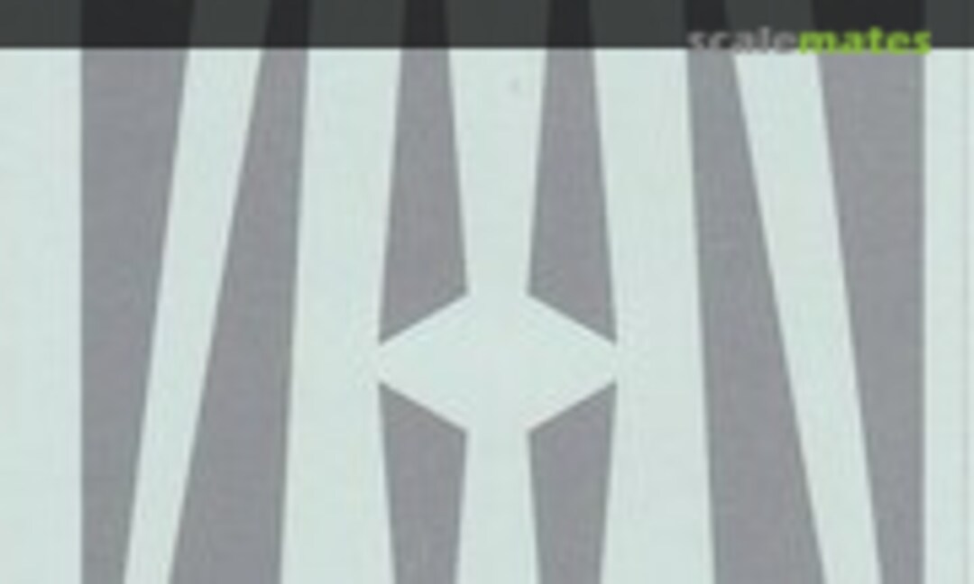 1:200 DC-9 Inspar Panels (Liveries Unlimited/Airway Graphics A2-G06) A2-G06